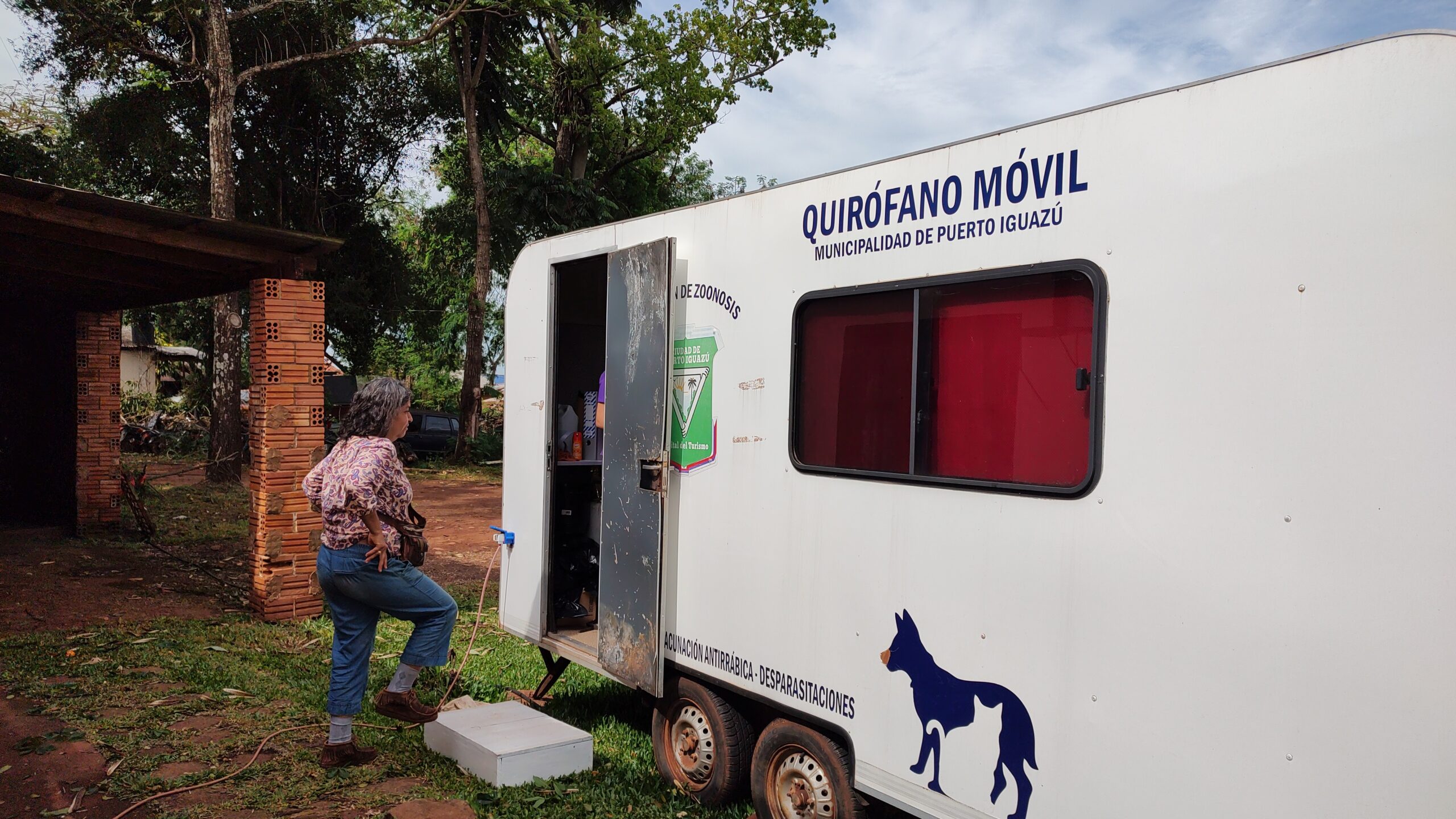 Iguazú: Después de 3 meses vuelven a dar turnos para esterilización de mascotas