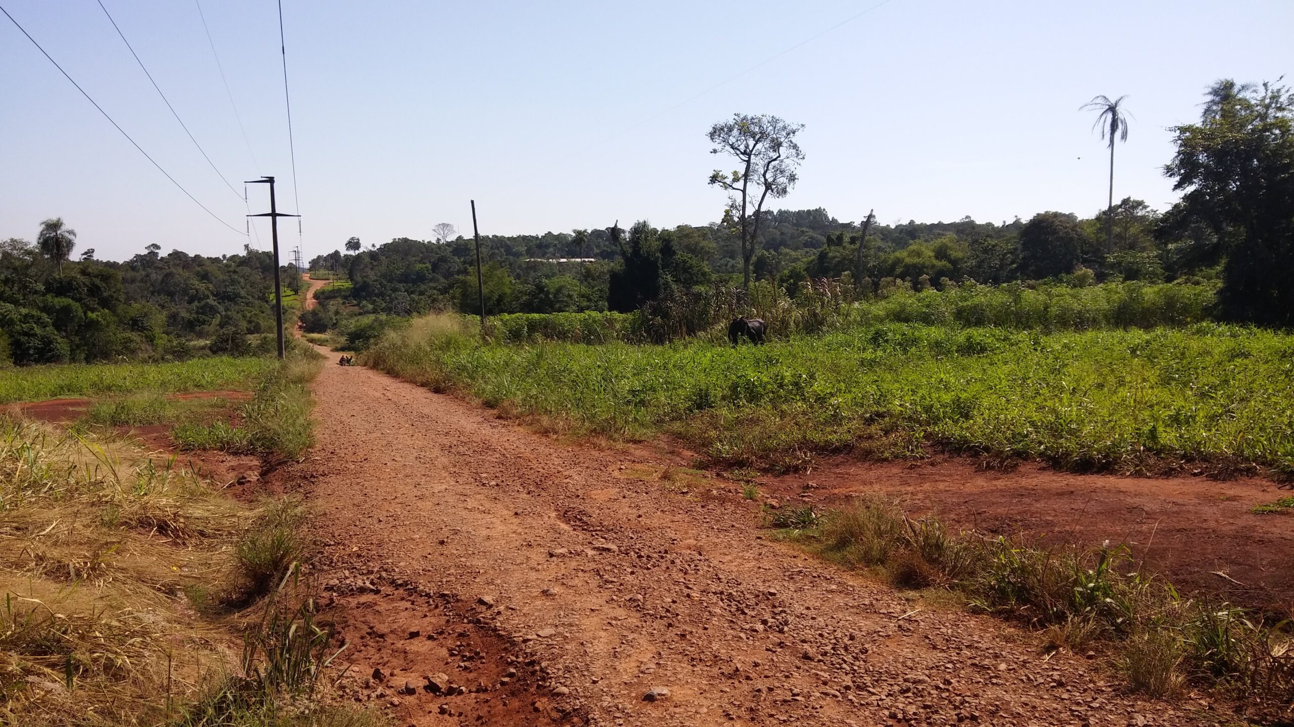 Preocupación por rumores de usurpación de terrenos en las 2000 hectáreas