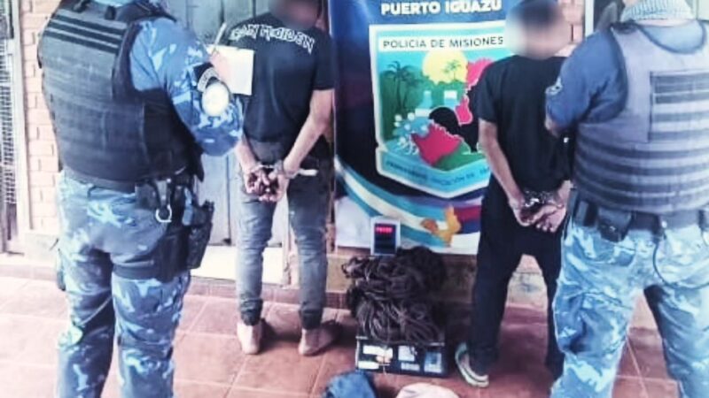 Detuvieron a varios delincuentes por robos en Iguazú