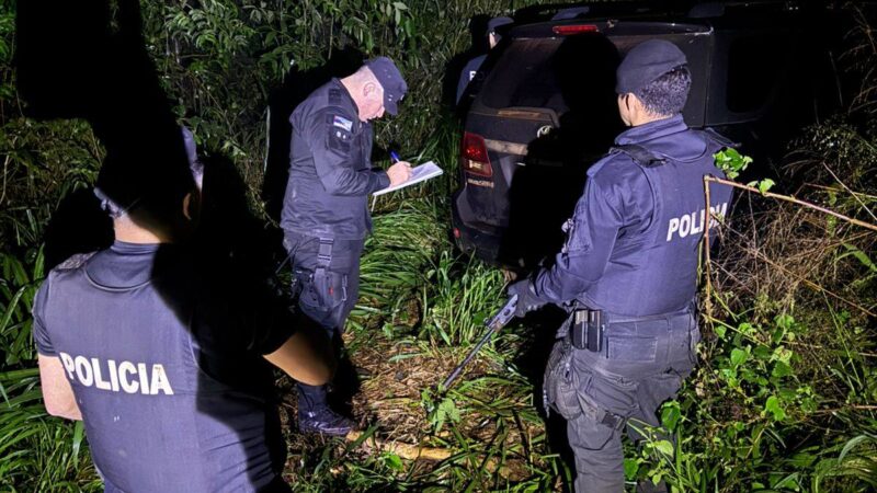 Puerto Esperanza: recuperaron una camioneta tras una intensa investigación y operativo en zona de monte