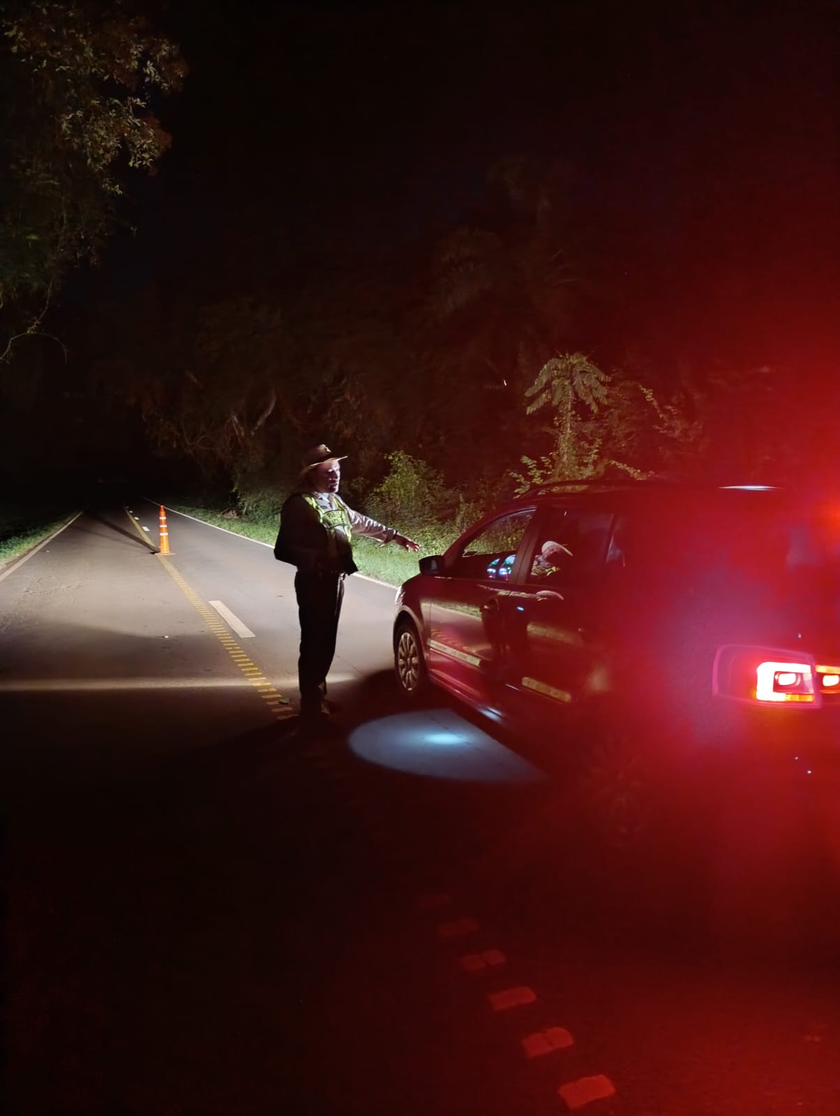 Tras detectar la presencia de un yaguareté en la ruta implementaron operativos de prevención