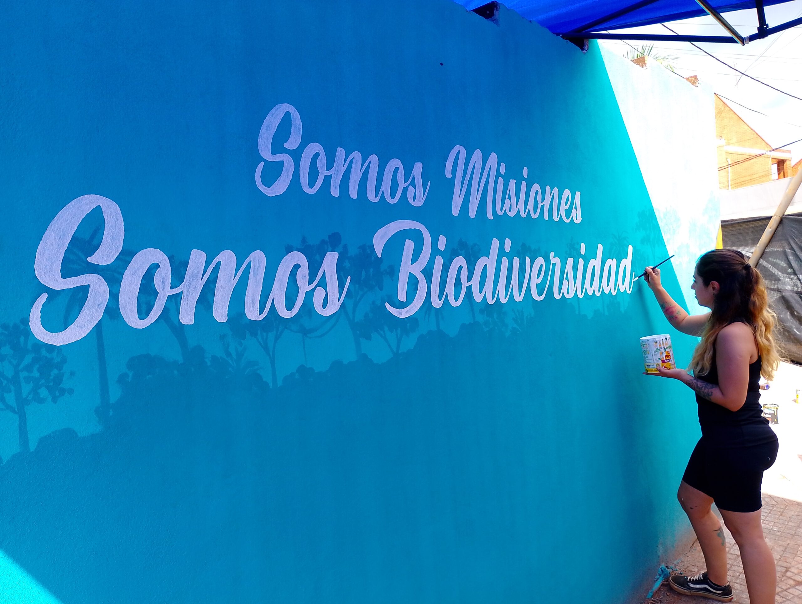 Un recordatorio de la importancia de cuidar de biodiversidad Misionera