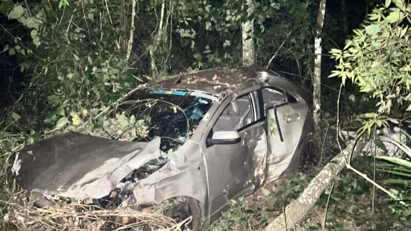 Se trasladaba en aparente exceso de velocidad, terminó en el monte derribando al menos dos arboles