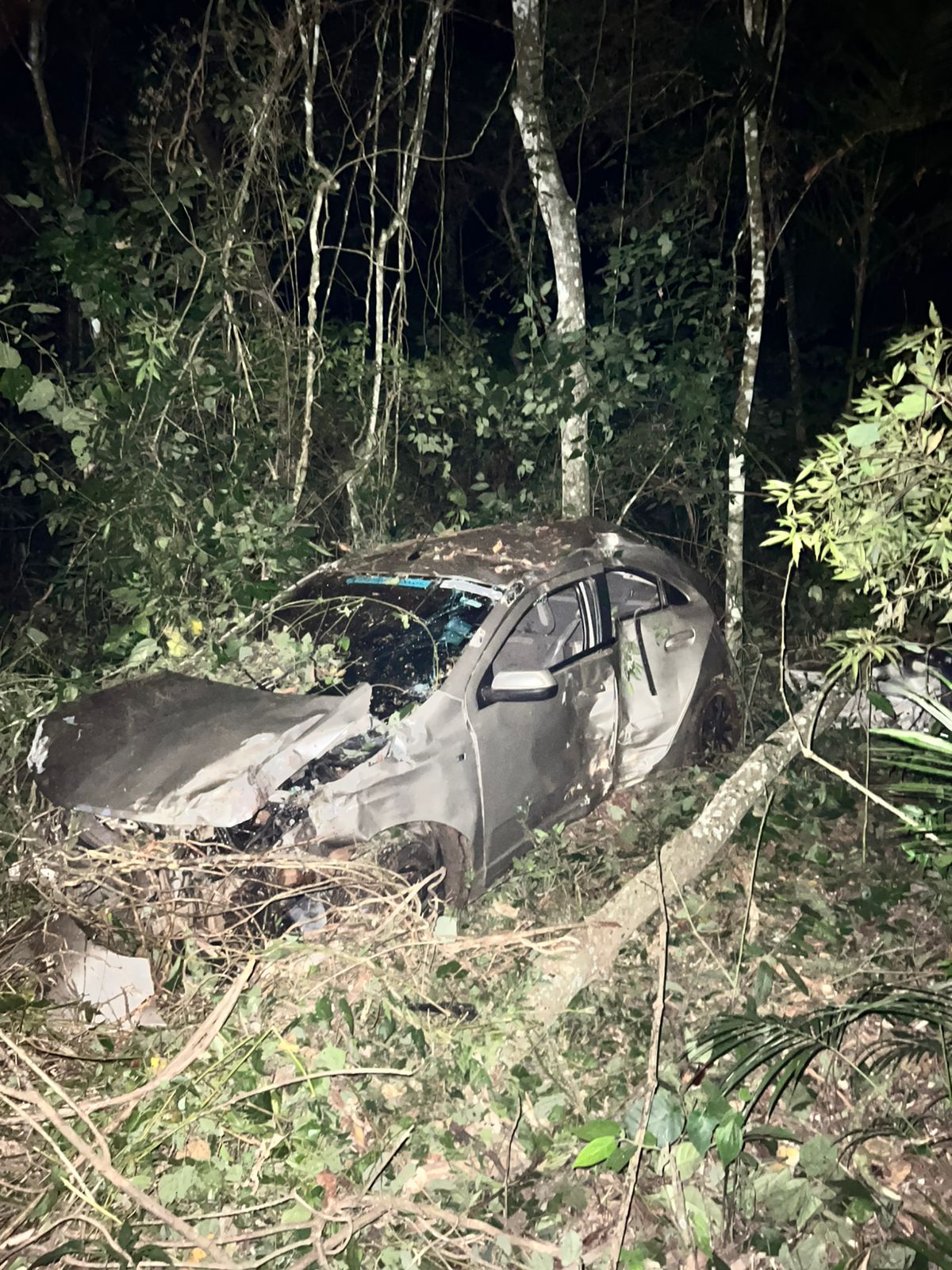 Se trasladaba en aparente exceso de velocidad, terminó en el monte derribando al menos dos arboles