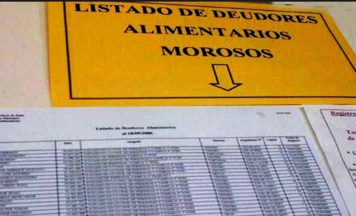 Iguazú: Proponen que los padres que no cumplan con la cuota alimentaria no puedan renovar el carnet de conducir
