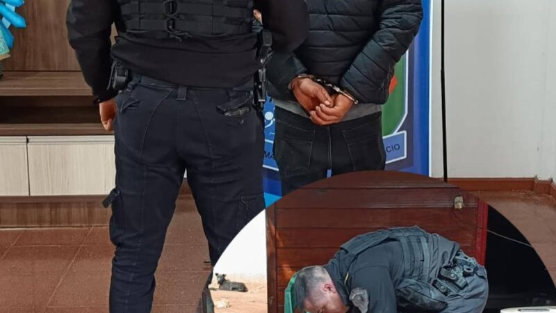 Iguazú: Detuvieron a dos ladrones con frondoso prontuario
