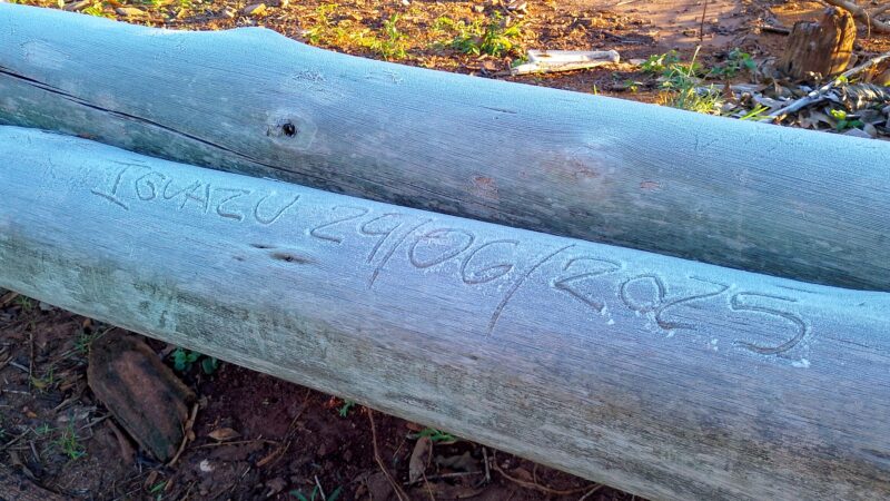 Tras dos años se registraron heladas en Puerto Iguazú