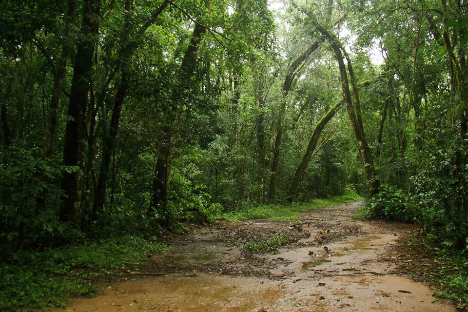 Iguazú: Este jueves se realizará el 2º Happy Hour Científico Iguazú “Entre artrópodos y saberes tradicionales”