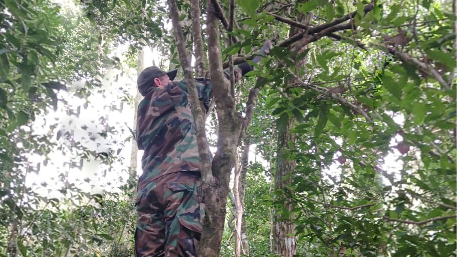 Interceptan cazadores furtivos dentro del Parque Provincial Urugua-í