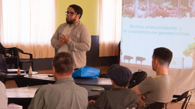 Wanda: Trabajan con los productores del norte de la provincia por la presencia de yaguaretés en la zona