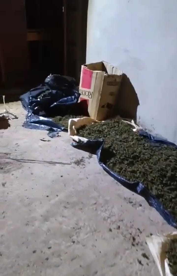 Puerto Esperanza: incautaron más de 40 kilos de cogollos de marihuana en una casa abandonada