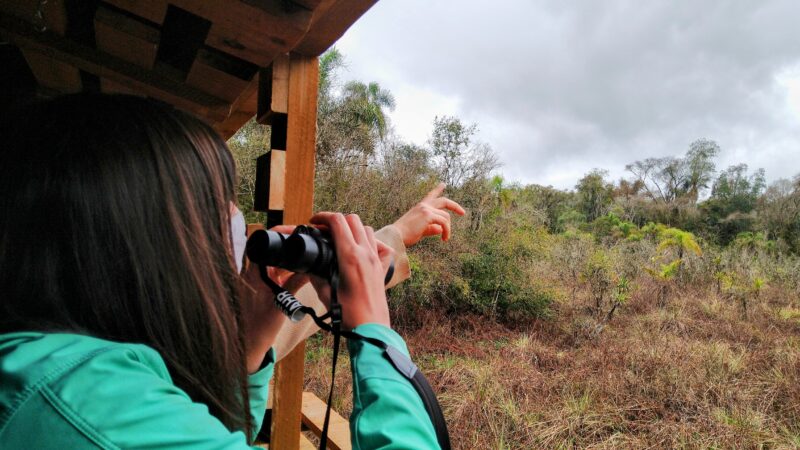 El septiembre se realizará el 1º Encuentro Internacional de observación de aves