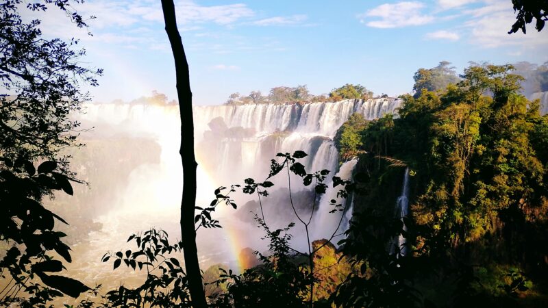 Vacaciones de invierno: Recomendaciones para disfrutar de la naturaleza sin destruirla
