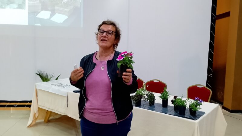 Impulsan la producción de plantas de macetas, flores y follaje a través de una capacitación en floricultura
