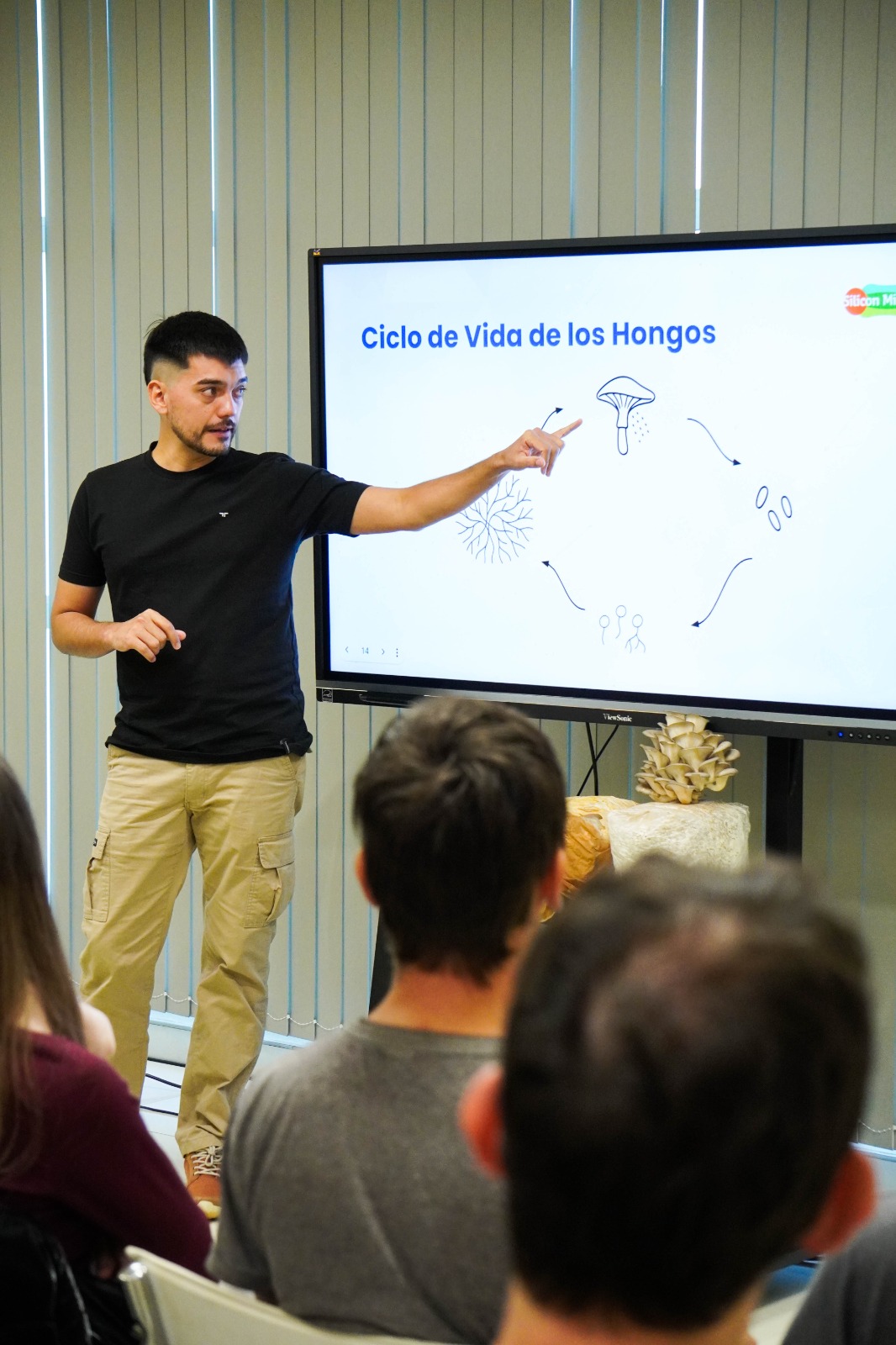 En agosto se realizará un workshop de hongos comestibles Puerto Iguazú