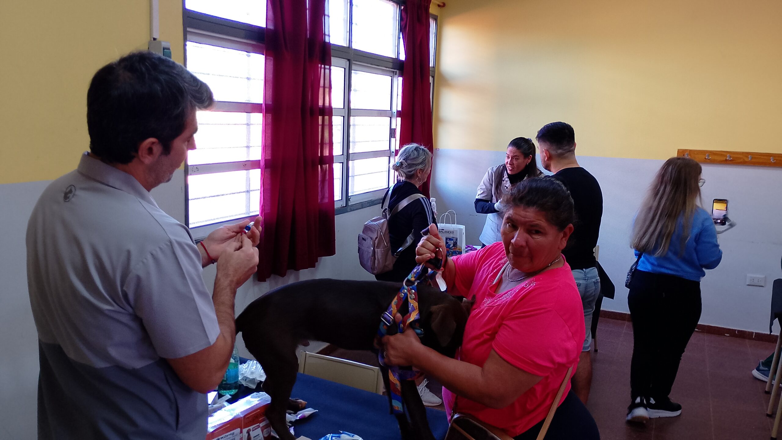 Patitas coloradas: Una campaña que promueve el control poblacional de animales de compania