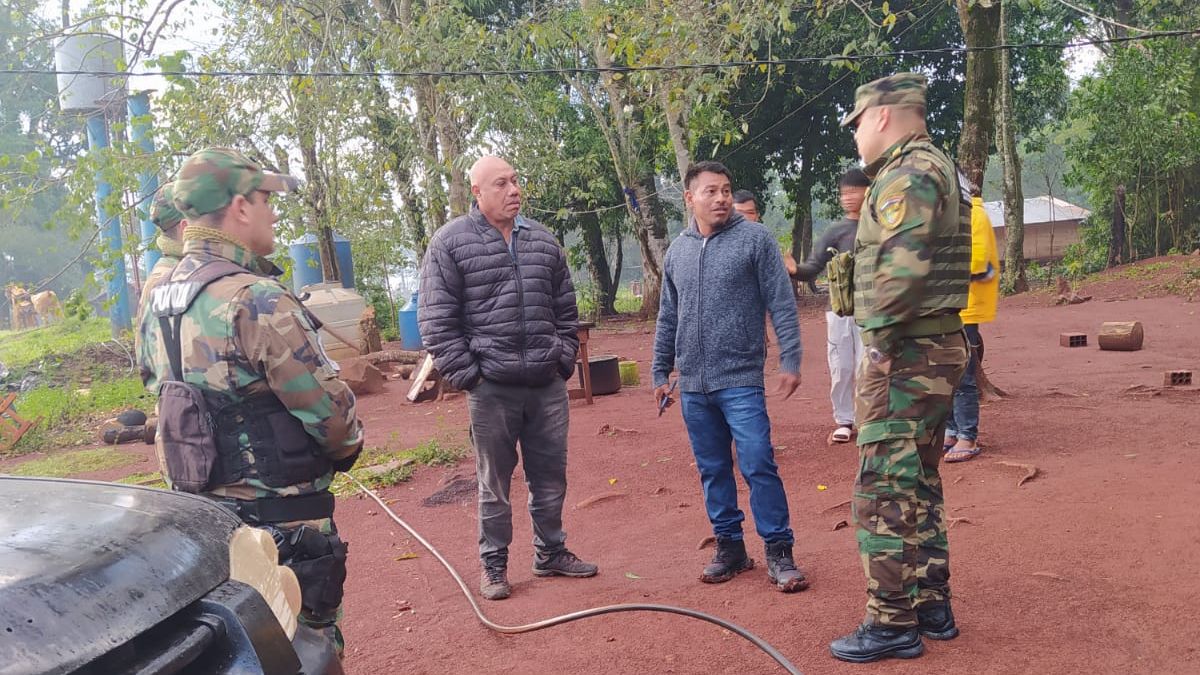 Constataron tala de árboles nativos en la comunidad Ita Poty Mirí de Puerto Iguazú