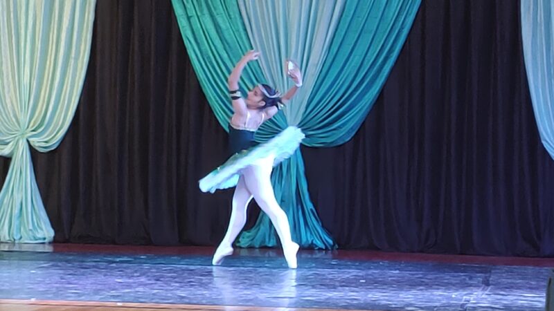 Comenzó la XXX edición del Festival de Danzas del Mercosur