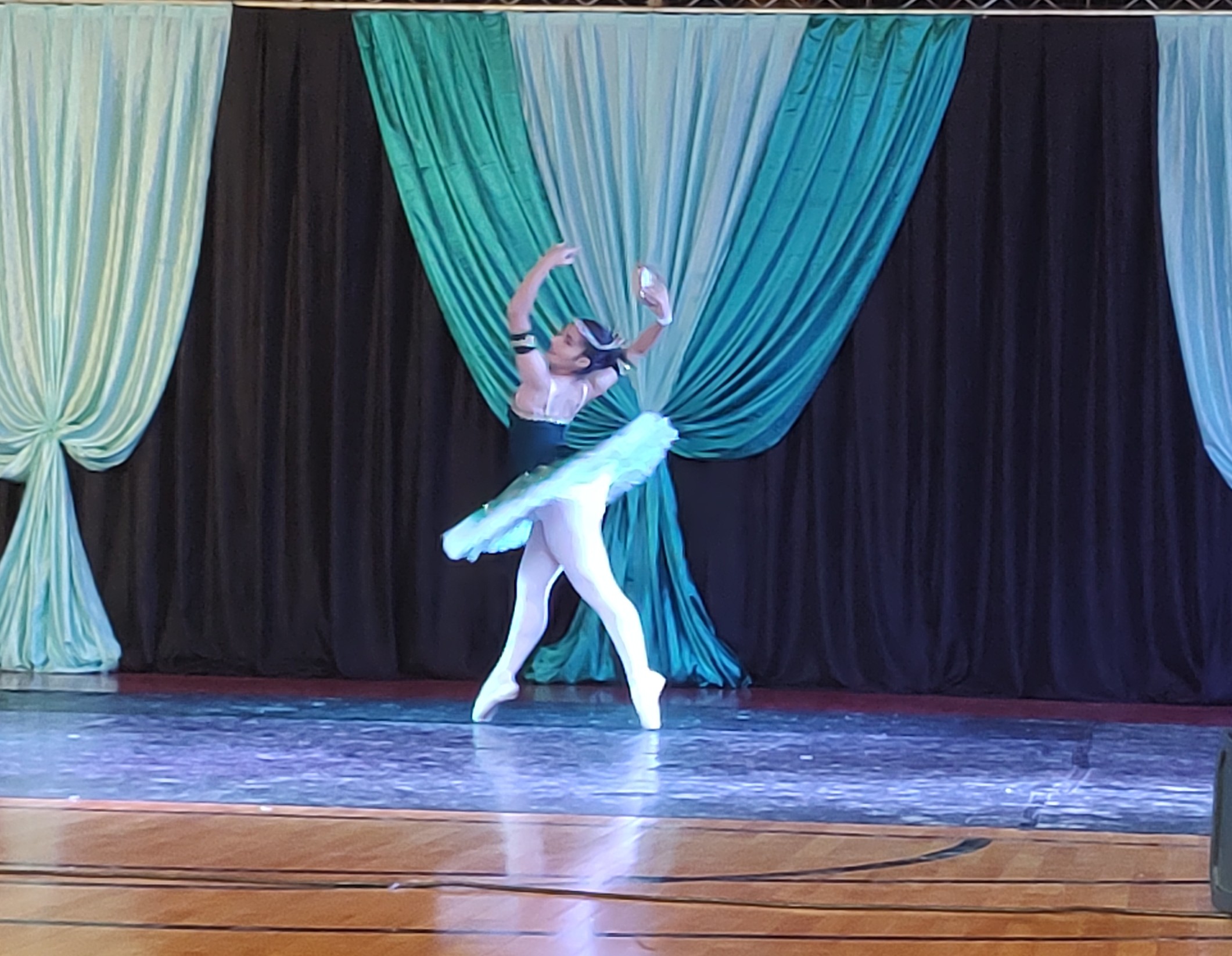 Comenzó la XXX edición del Festival de Danzas del Mercosur