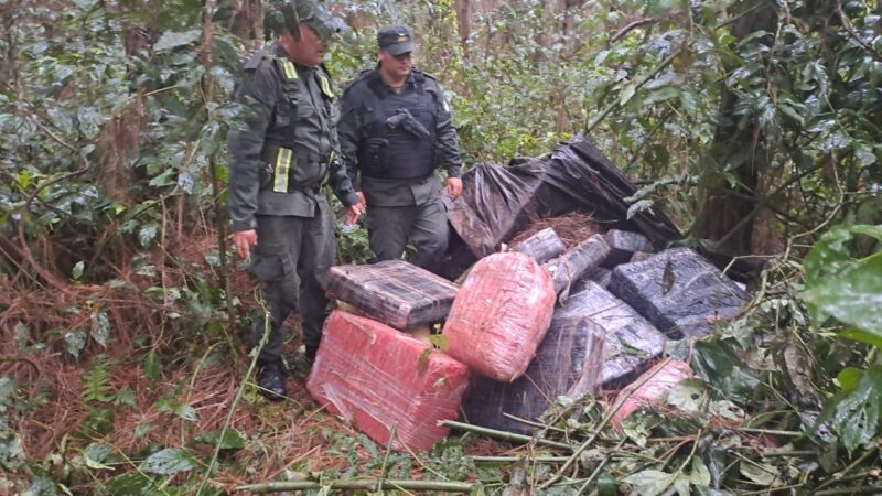 Gendarmería secuestró más de media tonelada de marihuana.