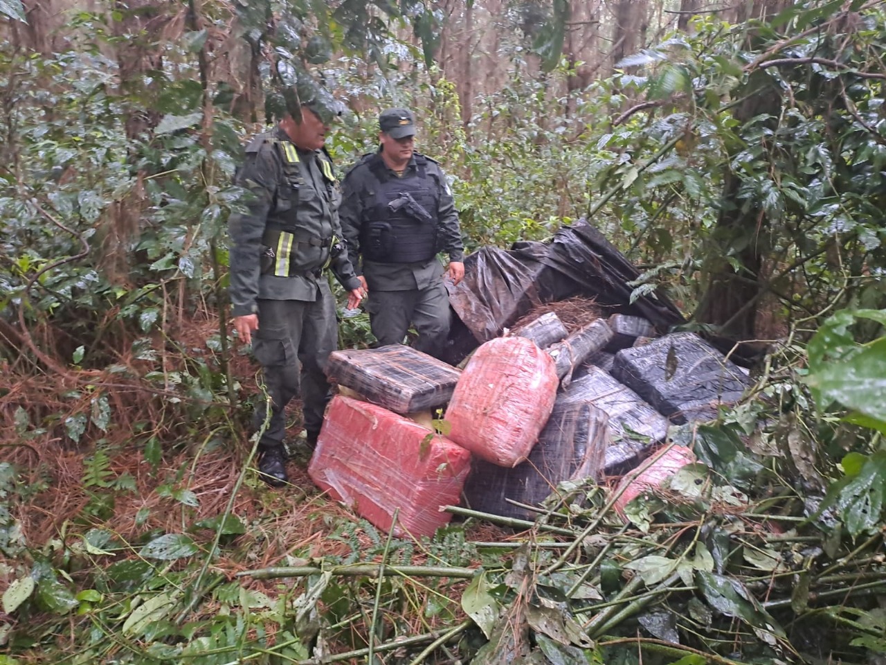 Gendarmería secuestró más de media tonelada de marihuana.