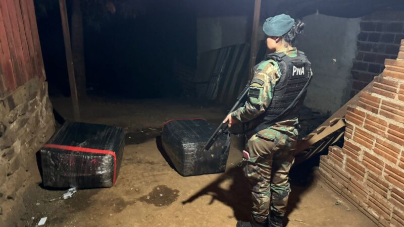Prefectura secuestró casi 100 kilos de droga en Puerto Iguazú
