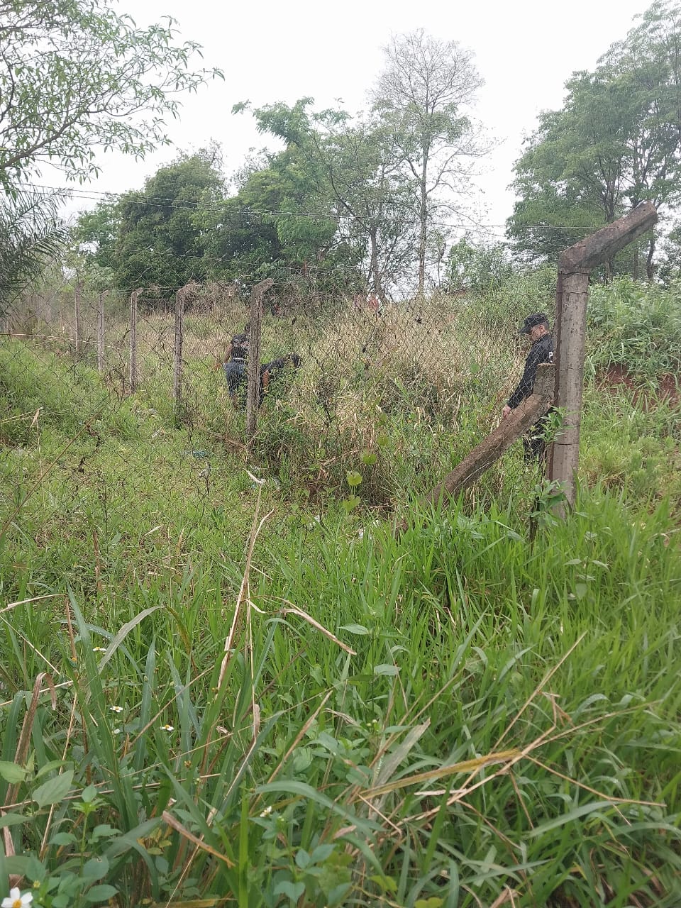 Dos jóvenes detenidos por la muerte de un miembro de la comunidad Mbya Guaraní