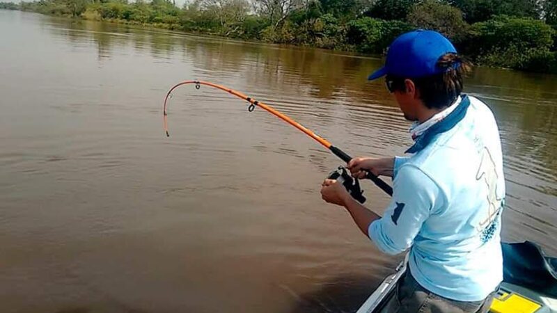 El lunes 3 de noviembre inicia el período de veda de pesca en Misiones