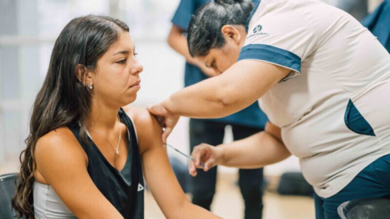 Vacuna contra el dengue: Está habilitada la aplicación Alegramed para solicitar turno