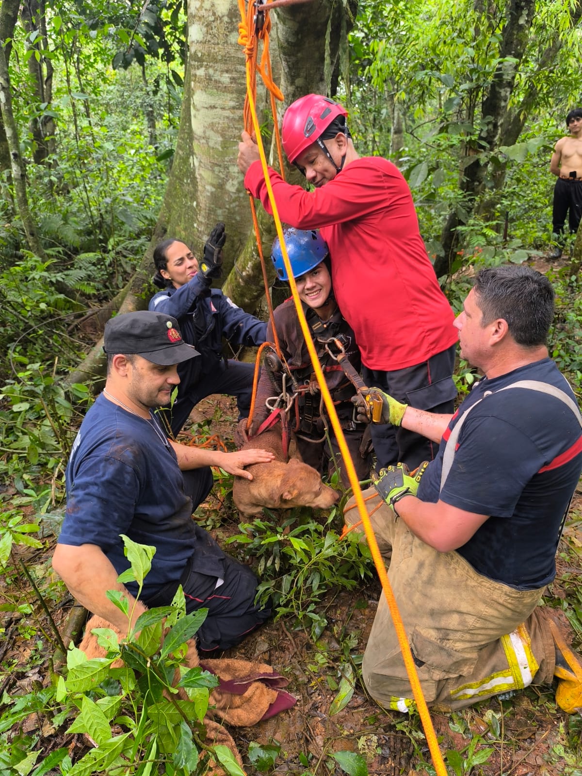 Rescataron a un hombre y un perro de un pozo de 17 metros de profundidad