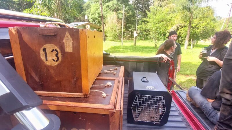 Güira Oga liberó animales tras varios meses de rehabilitación