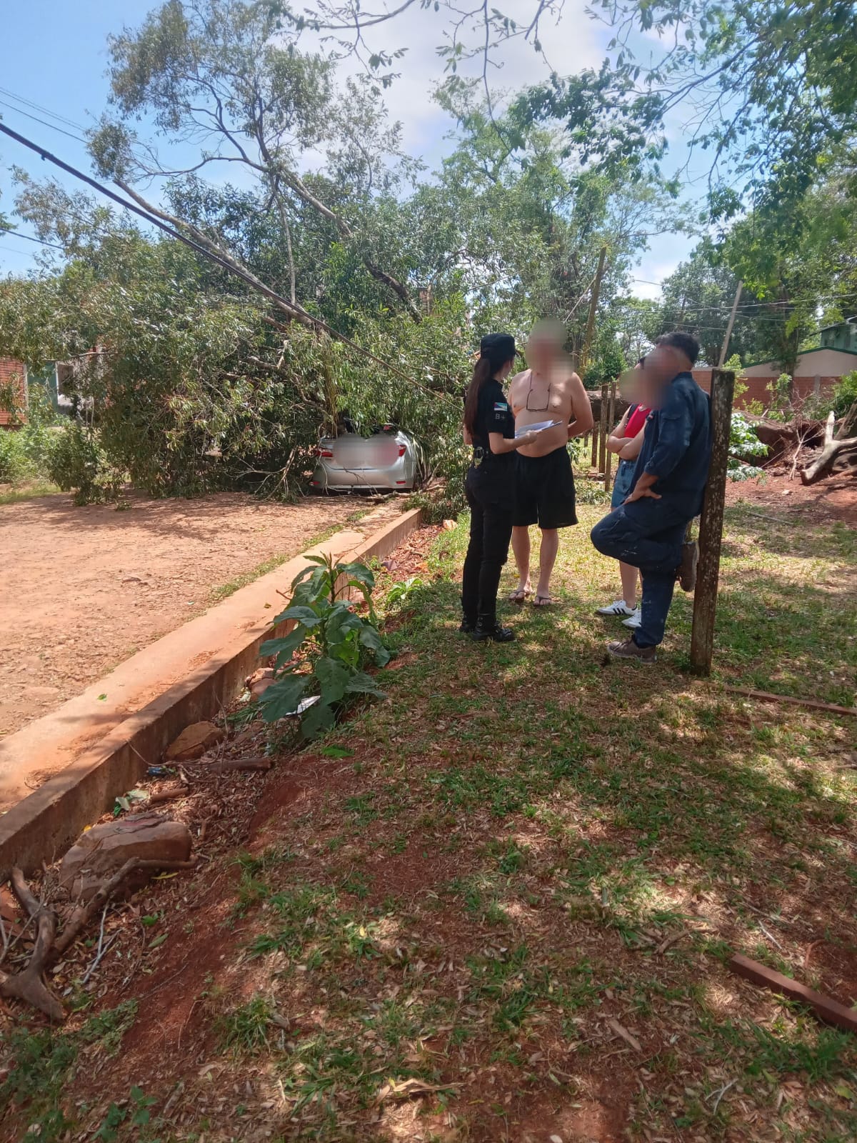 Puerto Iguazú: Un árbol cayó sobre un vehículo estacionado en Zona de Granjas