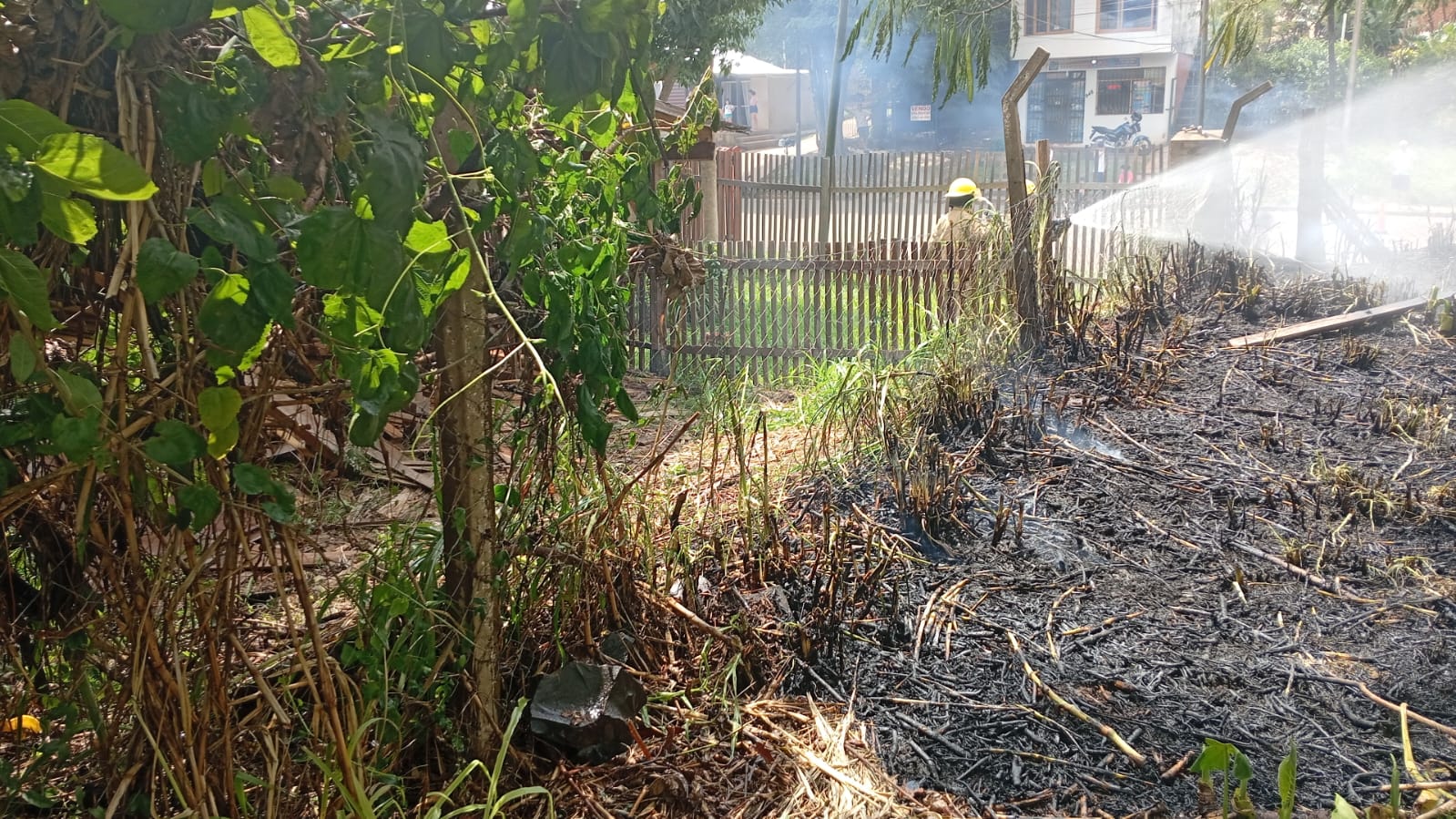 Chispas en el tendido eléctrico habrían provocado un incendio de pastizal