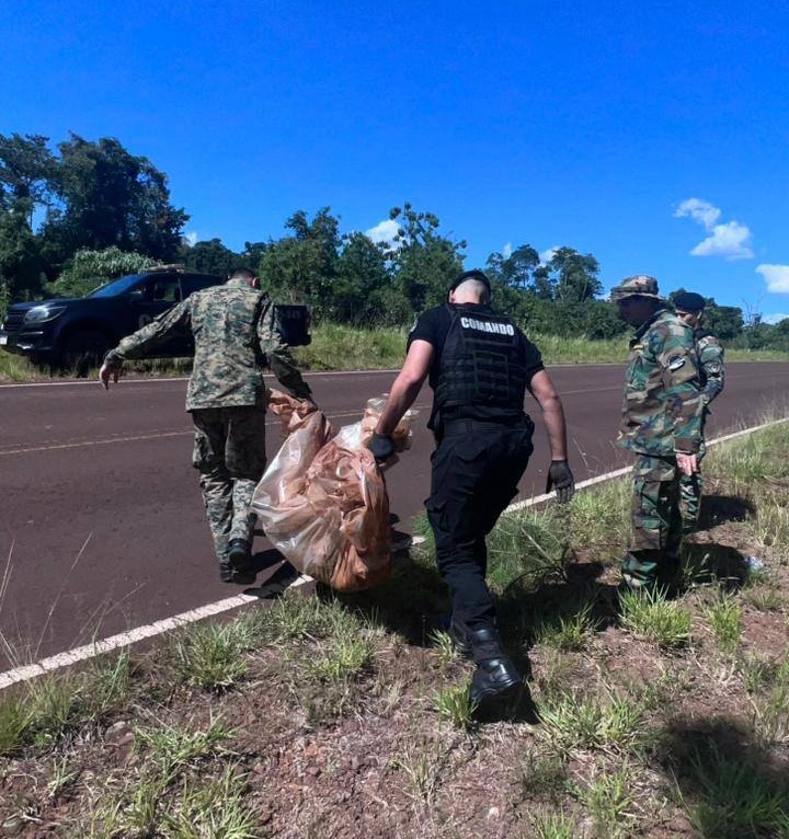 Encontraron muerto un gato onza en Andresito: investigan el hecho