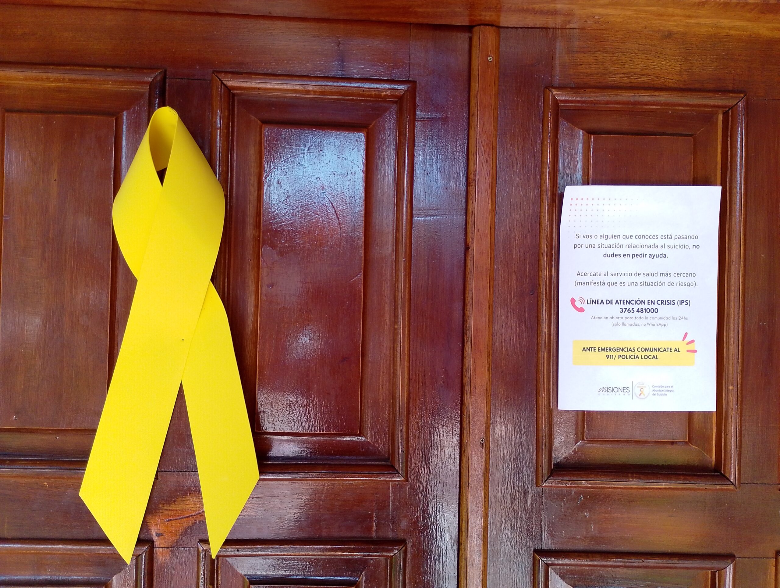 En lo que va del año se registraron 16 suicidios y 64 intentos en Iguazú