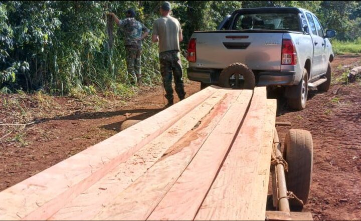 Decomisaron madera nativa proveniente de la extracción ilegal al limite del Parque Provincial Urugua-í