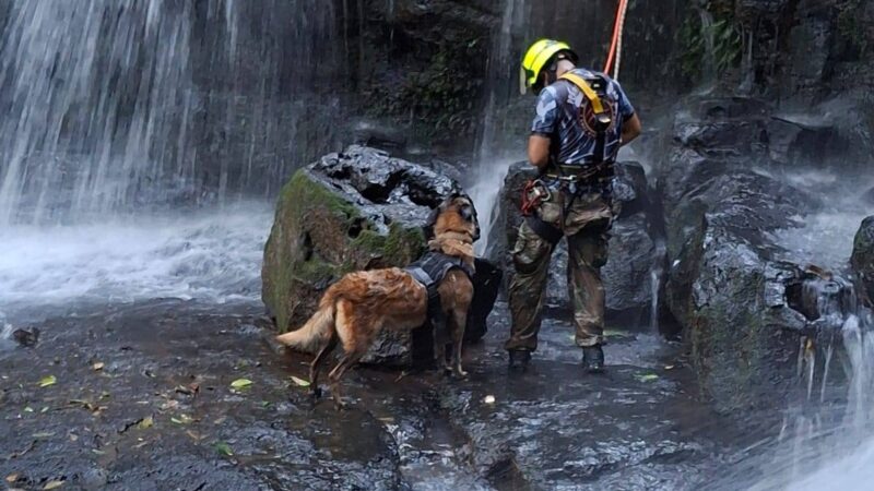 Puerto Libertad: Se realizó el primer Encuantro K9 en la localidad