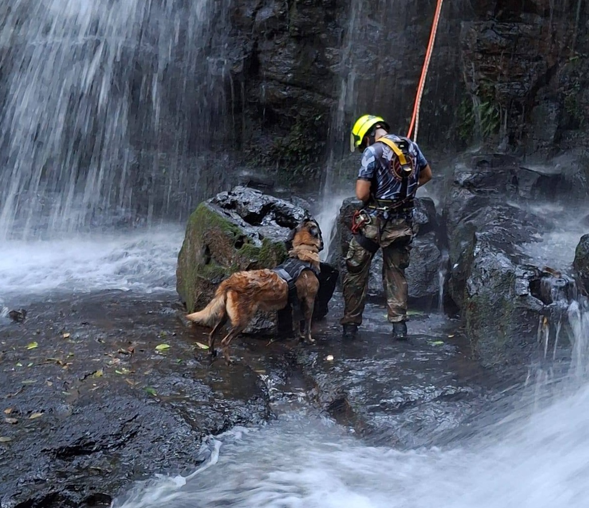 Puerto Libertad: Se realizó el primer Encuantro K9 en la localidad