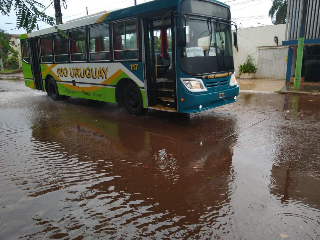 Iguazú: Solicitan que el boleto único del transporte urbano pase a costar 2.770 pesos