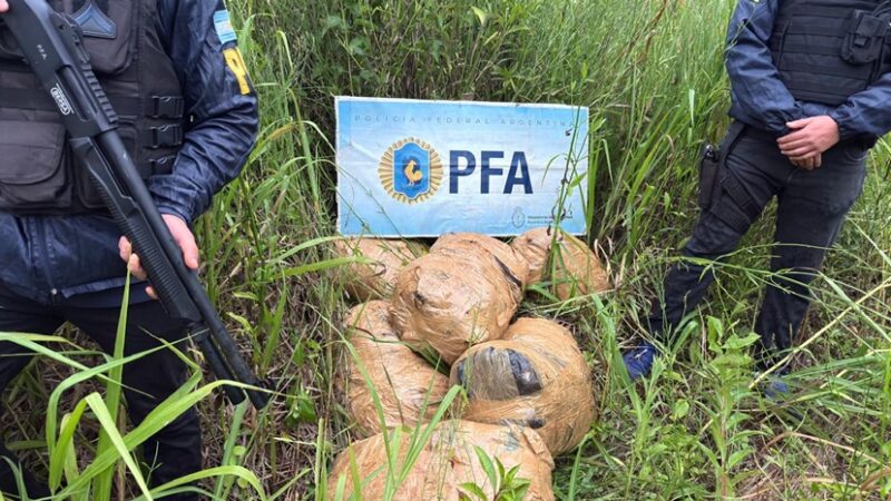 Puerto Esperanza: incautaron más de 200 kilos de marihuana en cercanías a un balneario