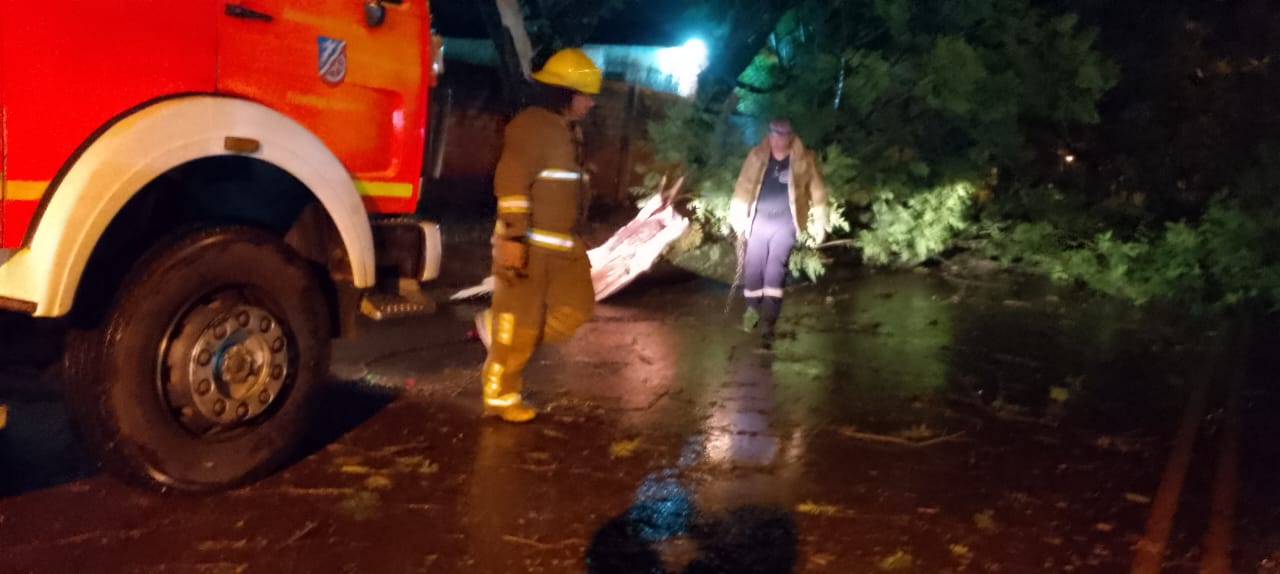 Bomberos de Iguazú: evacuación, despeje de vía pública y rescate de un perro