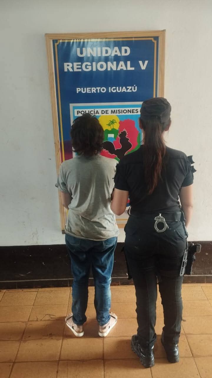 Dañó vehículos en estacionados y fue detenida por la Policía en Puerto Iguazú