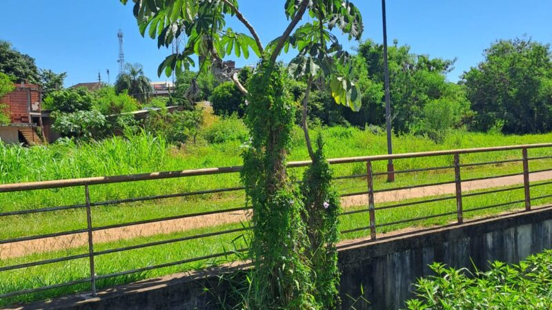Reclaman la limpieza del primer tramo del saneamiento del arroyo de Tacuara