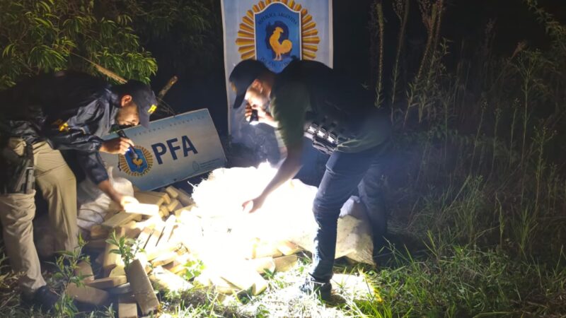 Mediante el uso de drones la Policía Federal logró incautar 200 panes de marihuana