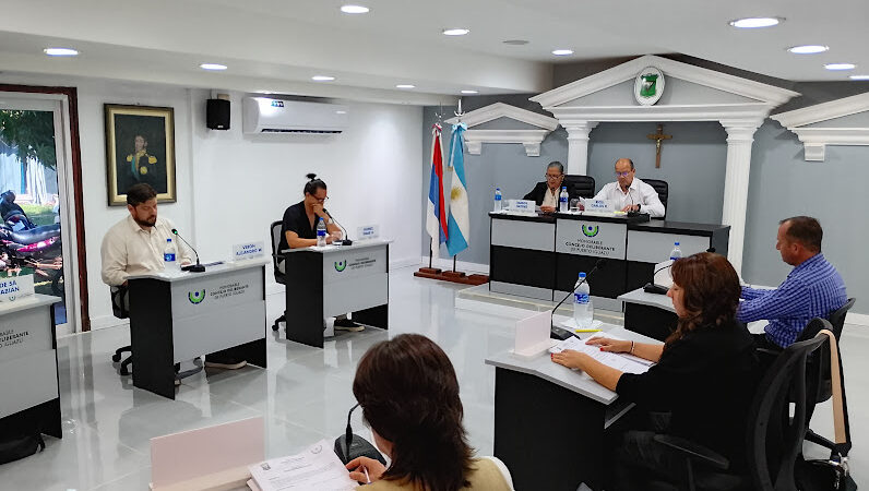 La primera sesión del Concejo Deliberante dejó en evidencia la falta de preparación de algunos ediles