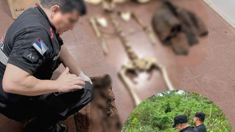 Puerto Esperanza: Tras el hallazgo de restos óseos e investigan su identidad