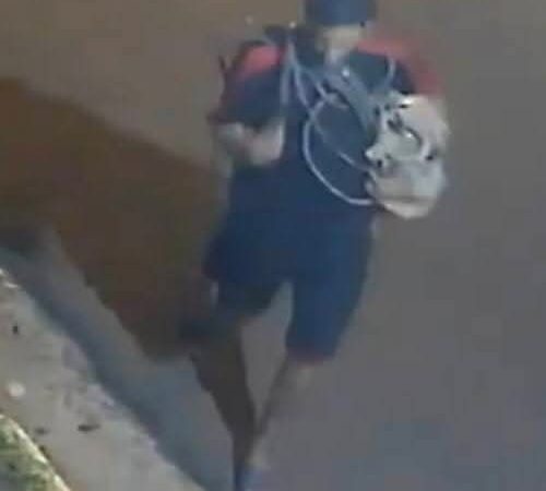 Atraparon a un ladrón involucrado en al menos dos robos en Puerto Iguazú