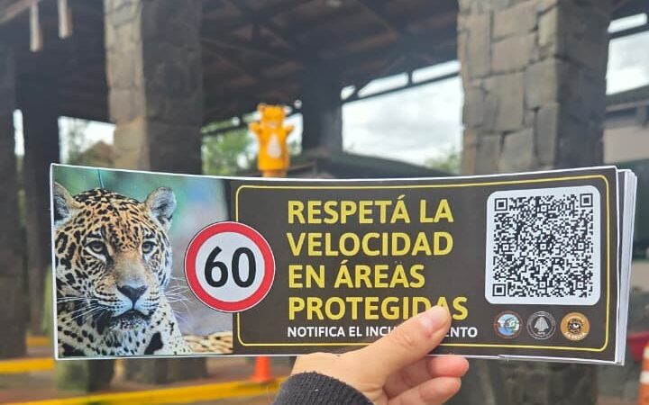 Distribuyeron los códigos QR para denunciar a los conductores que no respetan los límites de velocidad