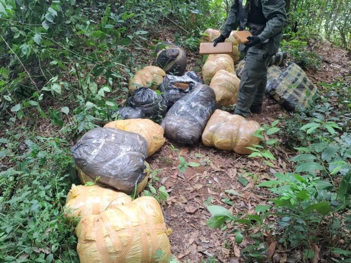 Incautaron casi 190 kilos marihuana que estaban acopiados en el monte.