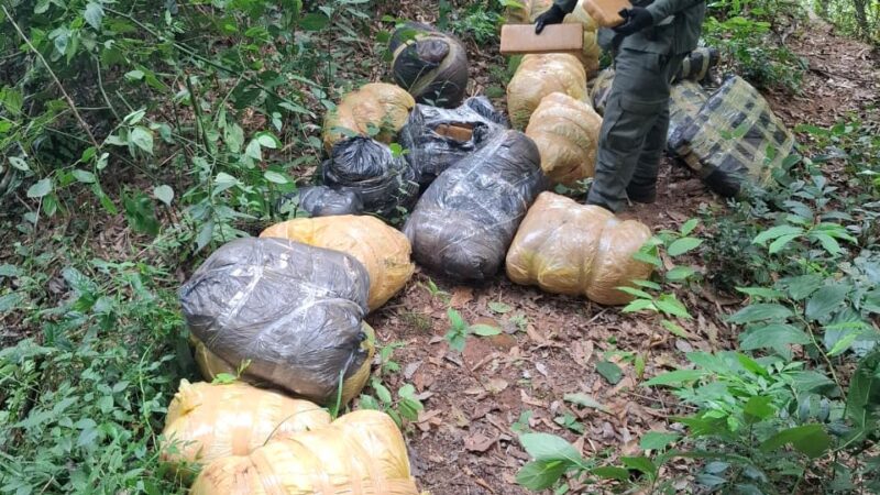 Incautaron casi 190 kilos marihuana que estaban acopiados en el monte.